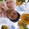 ddaisy_yang